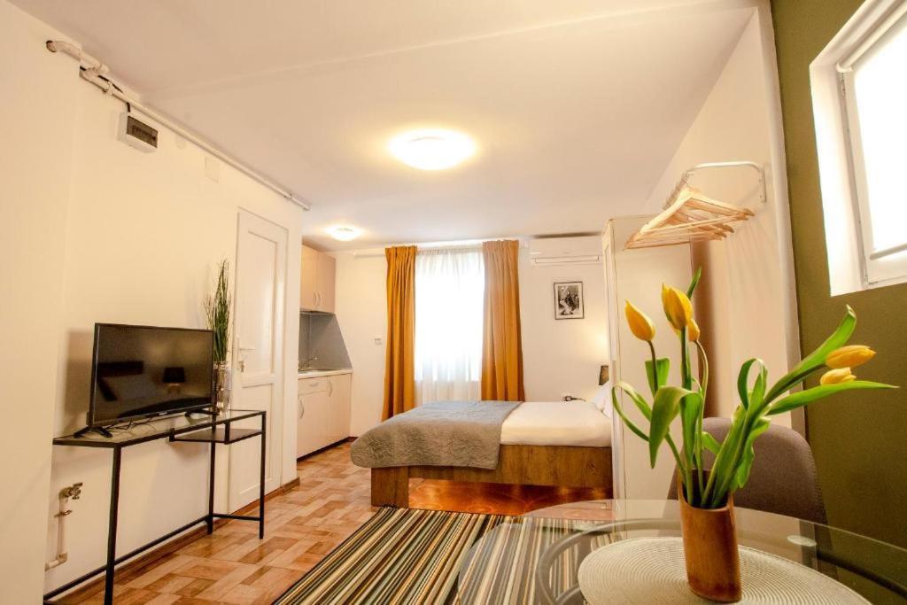 Apartment Color Old Town Center Bukarest